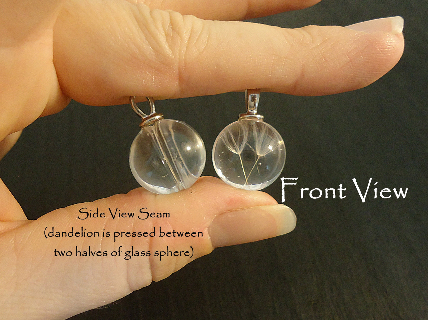 Dandelion Pendants, Authentic Pressed Dandelions in Glass Spheres, 15mm Round, Set of 5
