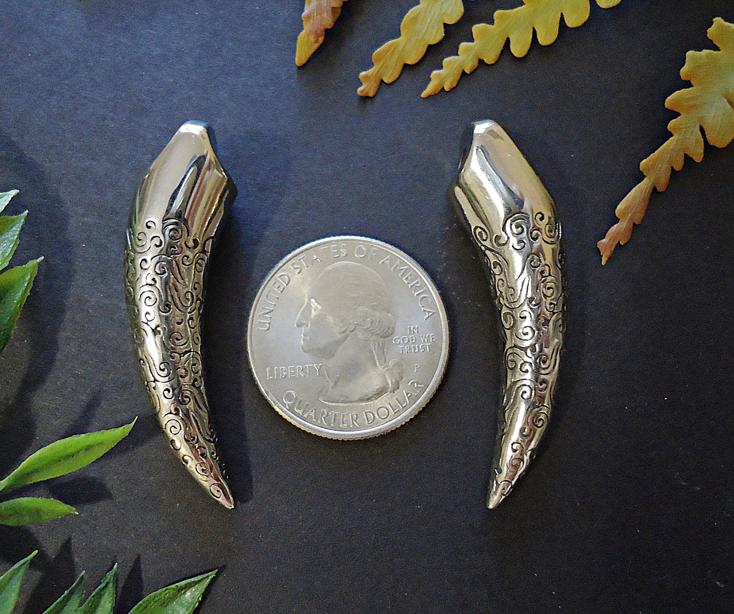 Canine Tooth, Stainless Steel, 1.75" Long, Silver with Scrolls, Heavy Duty