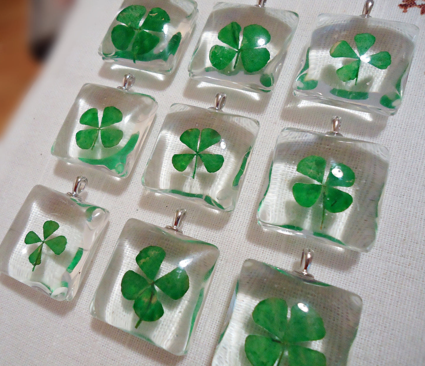 Pressed Four Leaf Clovers in Glass, 1 1/8 Inch Square with Bail, Set of 5