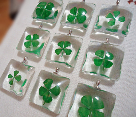 Pressed Four Leaf Clovers in Glass, 1 1/8 Inch Square with Bail, Set of 5