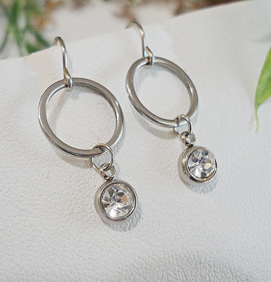 Birthstone Earrings, Stainless Steel and Cubic Zirconia, Round Hoop with Birthstone Charm Drop