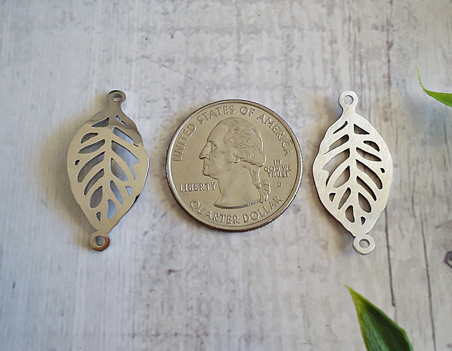 Curved Leaf Link, Stainless Steel, Filigree, 30mm